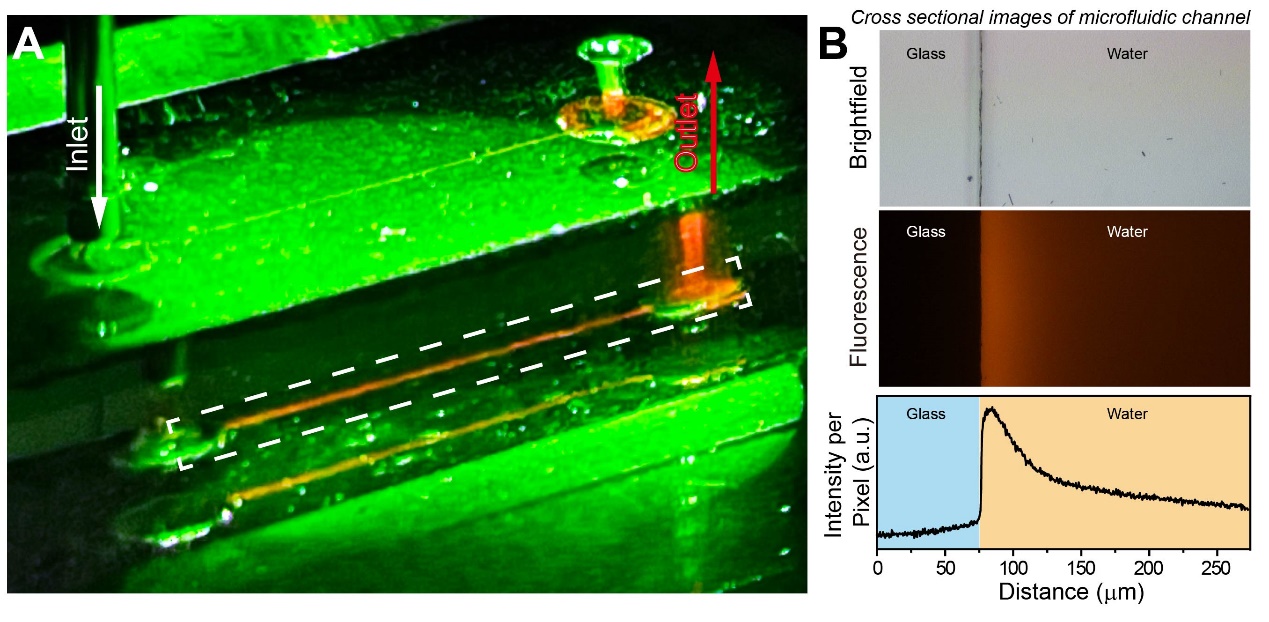 我校梁勇教授团队在微液滴化学领域合作研究取得重要突破