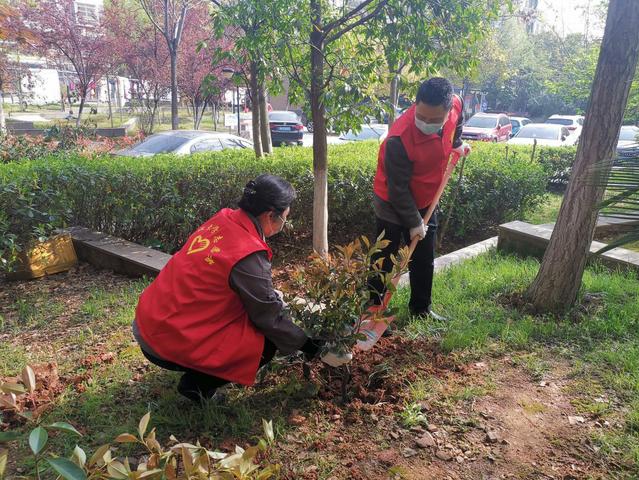 校领导参加“校社融合、美化家园”下沉社区特色志愿服务活动
